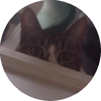smntic icon